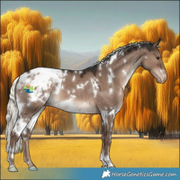Horse Color:White Spotted Liver Red Dun Mushroom Appaloosa 