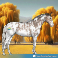 Horse Color:White Spotted Liver Red Dun Mushroom Sabino Snowflake Varnish 