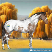 Horse Color:White Spotted Liver Red Dun Near Fewspot Brindle 