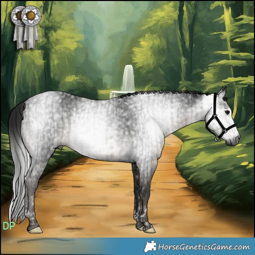 Horse Color:Gray Black Tobiano and Gray Smoky Black Tobiano