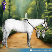 Horse Color:Gray Black Tobiano  and Gray Smoky Black Tobiano 