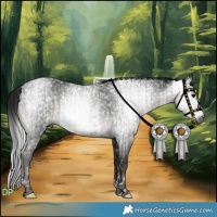 Horse Color:Gray Black Tobiano and Gray Smoky Black Tobiano