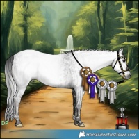 Horse Color:Gray Black Tobiano and Gray Smoky Black Tobiano