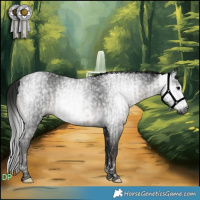 Horse Color:Gray Black Tobiano  and Gray Smoky Black Tobiano 