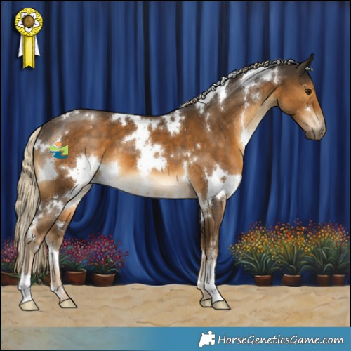 Horse Color:White Spotted Chocolate Palomino 