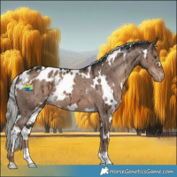 Horse Color:White Spotted Liver Red Dun Mushroom Varnish Brindle 
