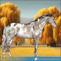 Horse Color:White Spotted Liver Red Dun Mushroom Varnish 