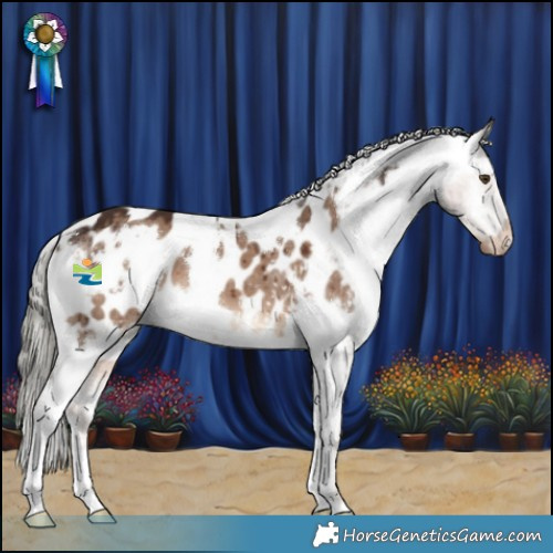 Horse Color:White Spotted Liver Red Dun Mushroom Blanket Brindle 