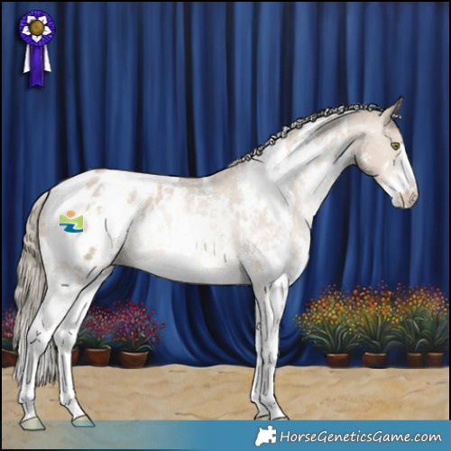 Horse Color:White Spotted Liver Red Dun Pearl Mushroom Sabino Blanket Brindle 