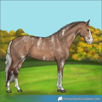 Horse Color:Powder White White Spotted Silver Brown Dun 