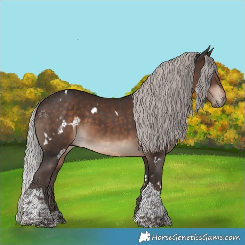 Horse Color:White Spotted Silver Brown Tobiano 
