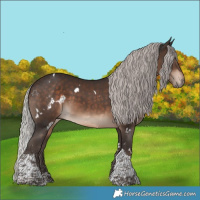 Horse Color:White Spotted Silver Brown Tobiano 