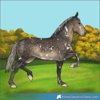 Horse Color:White Spotted Silver Smoky Black 