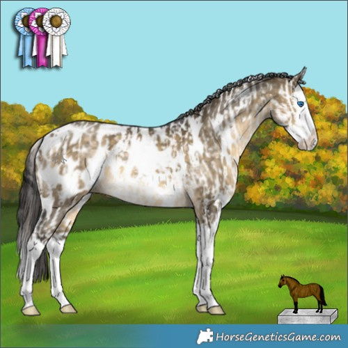 Horse Color:Liver Red Dun Sabino Splash Appaloosa Rabicano  and White Spotted Buckskin Dun Sabino Splash Appaloosa 