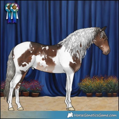 Horse Color:White Spotted Liver Chestnut Mushroom Tobiano 