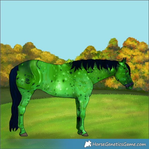 Horse Color:ERROR: UNKNOWN ANOMALY