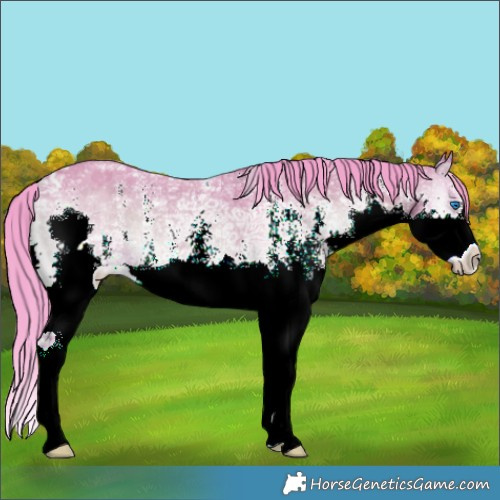 Horse Color:Watercolor White Spotted Bay Ice Onyx Splash 