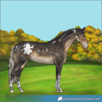 Horse Color:White Spotted Silver Smoky Black Tobiano Varnish 