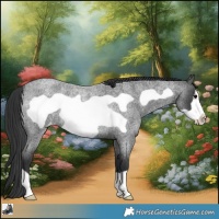 Horse Color:Blue Roan Frame Varnish Rabicano 