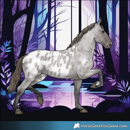 Horse Color:Smoky Grullo Roan Appaloosa 
