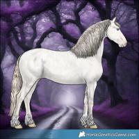 Horse Color:Smoky Creme Roan Dun Appaloosa 