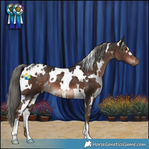 Horse Color:White Spotted Liver Chestnut Mushroom 