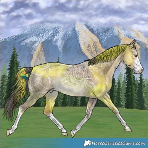 Horse Color:White Spotted Liver Red Dun Ice Mushroom 