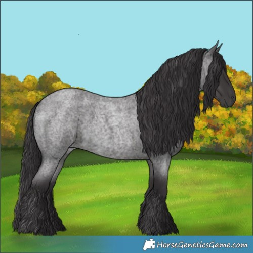 Horse Color:Smoky Blue Roan 