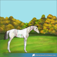 Horse Color:Bay Ice Tobiano 