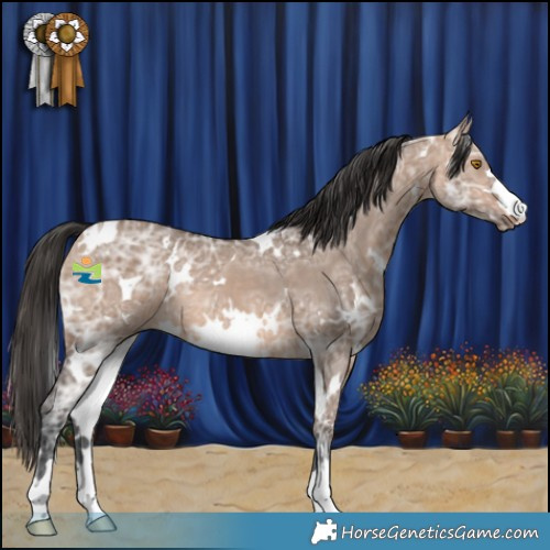 Horse Color:White Spotted Bay Ice Dun Mushroom 