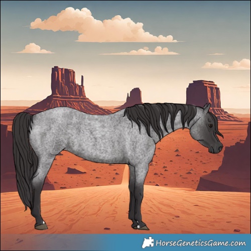 Horse Color:Smoky Blue Roan 