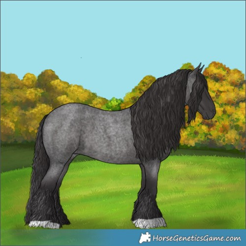 Horse Color:Smoky Blue Roan 