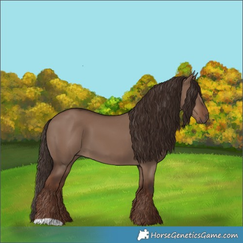 Horse Color:Liver Red Dun