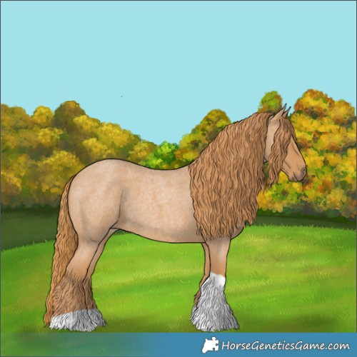 Horse Color:Red Roan Tobiano