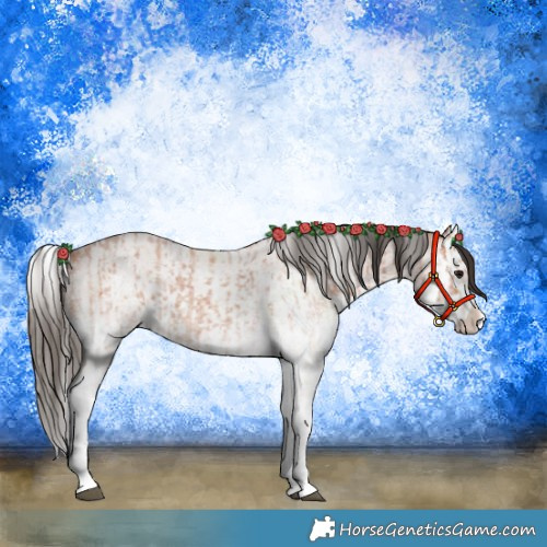 Horse Color:White Spotted Bay Roan Splash  and White Spotted Bay Roan Splash 