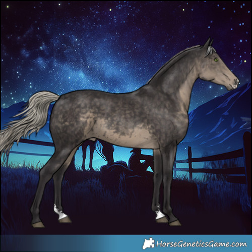 Horse Color:Silver Smoky Black Sabino