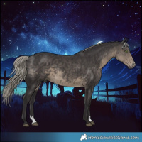 Horse Color:Silver Smoky Black Sabino 