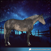 Horse Color:Silver Smoky Black Sabino