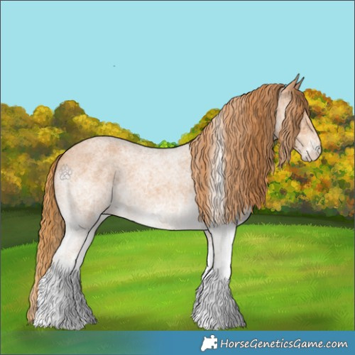 Horse Color:White Spotted Red Roan