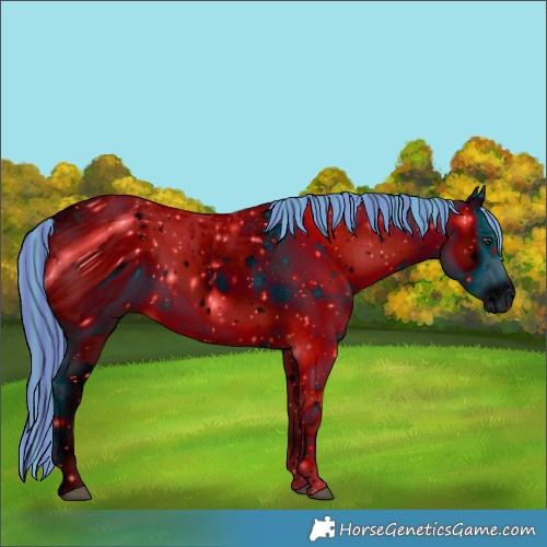 Horse Color:ERROR: UNKNOWN ANOMALY
