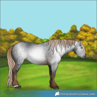 Horse Color:Gray Chocolate Palomino 