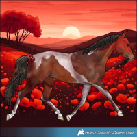 Horse Color:Bay Tobiano Varnish 