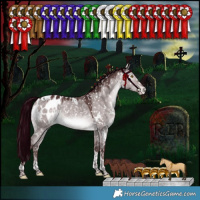 Horse Color:Platinum White Spotted Chocolate Bay Dun Mushroom Tobiano Appaloosa Rabicano 