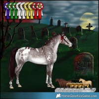 Horse Color:Platinum White Spotted Chocolate Bay Dun Mushroom Tobiano Appaloosa Rabicano