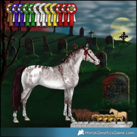 Horse Color:Platinum White Spotted Chocolate Bay Dun Mushroom Tobiano Appaloosa Rabicano 