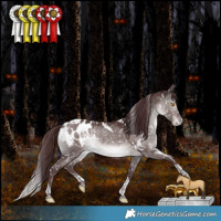 Horse Color:Platinum White Spotted Chocolate Bay Dun Mushroom Tobiano Appaloosa Rabicano 