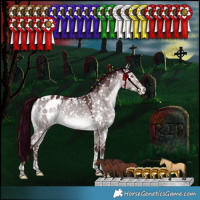 Horse Color:Platinum White Spotted Chocolate Bay Dun Mushroom Tobiano Appaloosa Rabicano