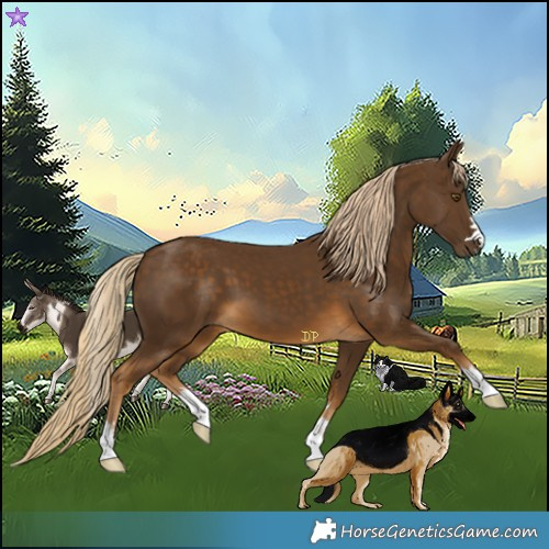 Horse Color:Chocolate Palomino 