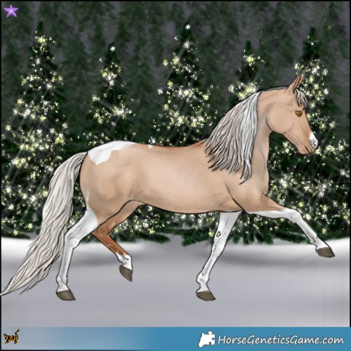 Horse Color:Silver Grullo Pearl Tobiano