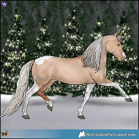 Horse Color:Silver Grullo Pearl Tobiano